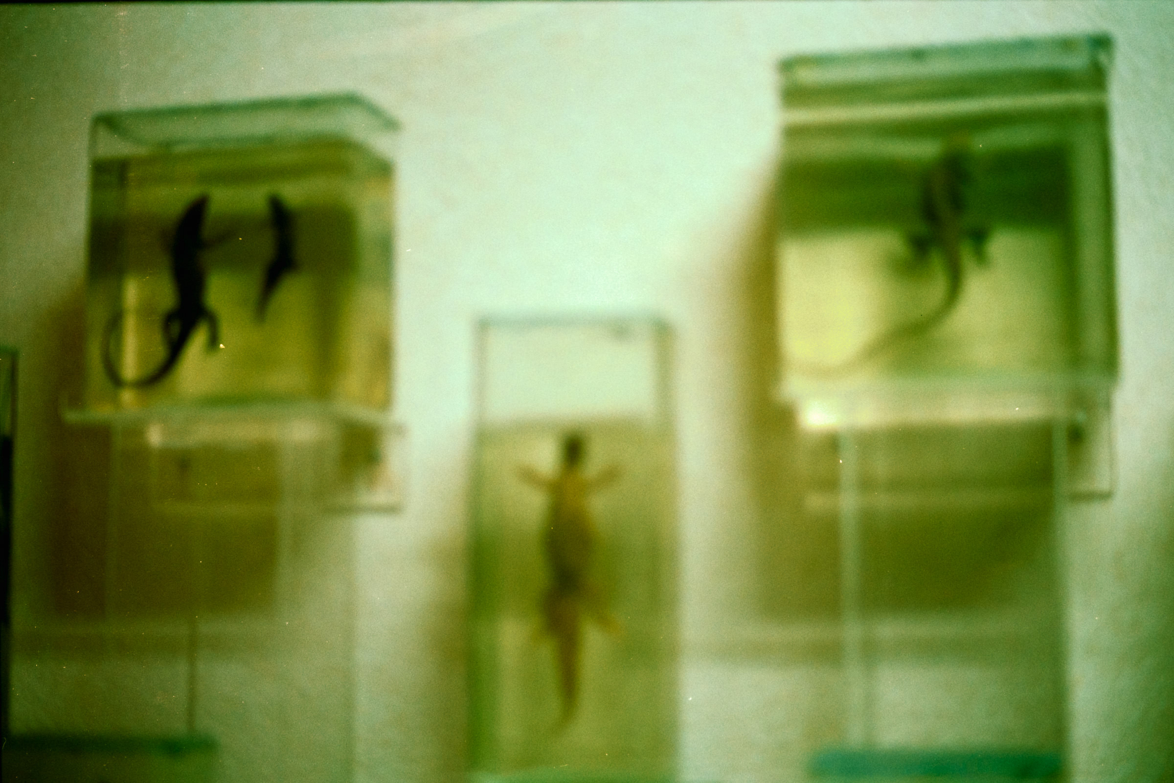 AHP film 2005 01 001 sc240825 img14 NLP